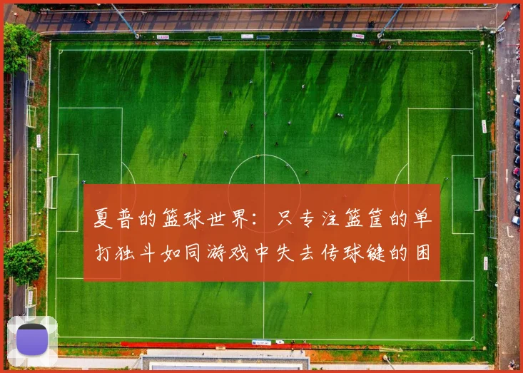 夏普的篮球世界：只专注篮筐的单打独斗如同游戏中失去传球键的困境